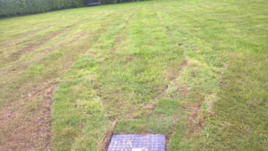 New Drainage Field